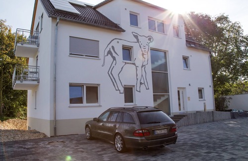 Asch Apartment | Einzelzimmer mit Dusche/WC