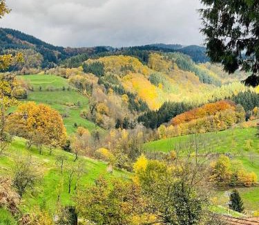 Ottenhofen im Schwarzwald Apartment | Einzigartiges Apartment, mitten in der Natur