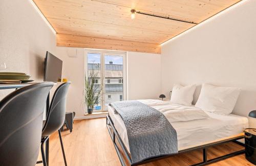 Friedrichshafen Apartment | Einzimmer Wohlfühlapartment VIER klimatisiert