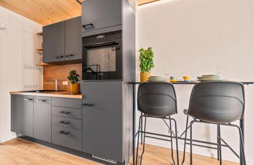Friedrichshafen Apartment | Einzimmer Wohlfühlapartment VIER klimatisiert