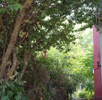 Cazalla De La Sierra Apartment | El Balcón del Huéznar