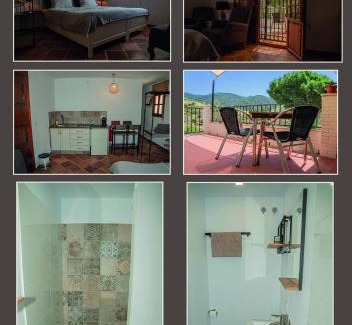 Carratraca Bed & Breakfast | El bufon de la corte