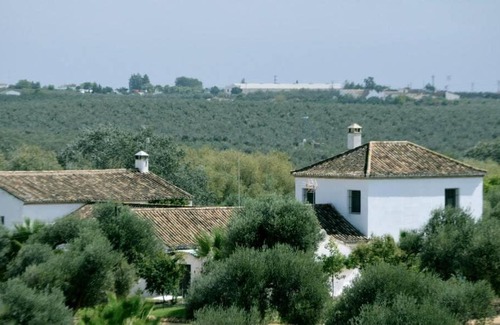 Hinojos House | El Cotillo de San Jose