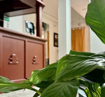 Ibague Hotel | El Dorado Hotel - Ibagué