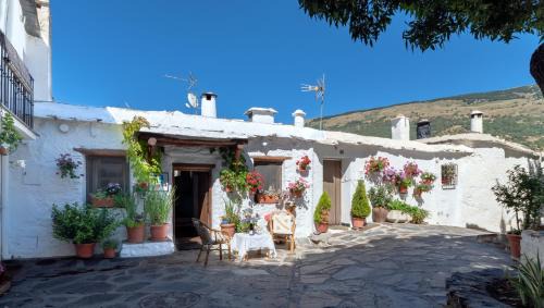 Capileira House | El Gato Negro