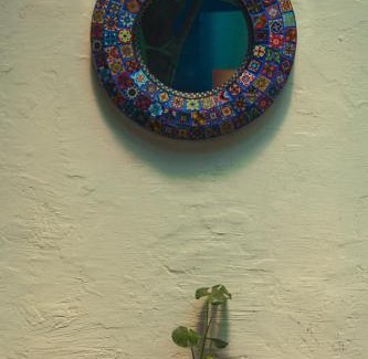 Centro House | El Pinche Hostal