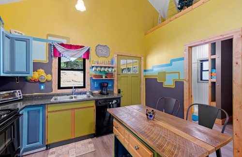 Mills River Cabin | Electric, Water, & WIFI- Sleeps 4