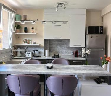 Riquier Apartment | Elegant Apartment Terrace Port of Nice