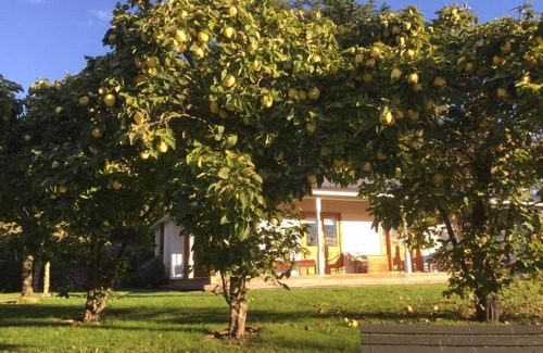 Havelock North Cottage | Elegant country home in a tranquil setting