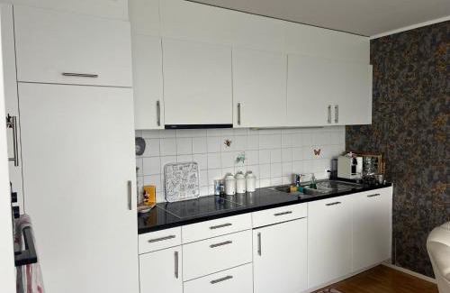 Basel City Centre Apartment | Elegante Wohnung in Basel, direkt am Messeplatz