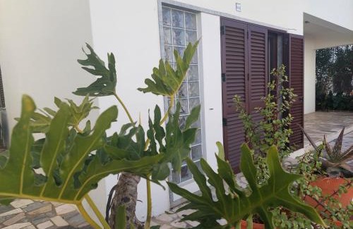 Mertola Apartment | ELEVEN -A- SUITE tipo T1