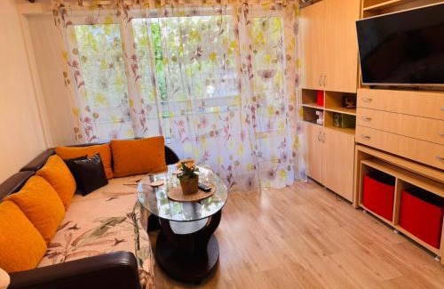 Ruse Apartment | Elisea apartment
