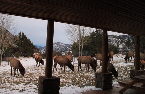 Emigrant House | Elk Run Ranch.Come Enjoy the breath taking views of Paradise Valley!