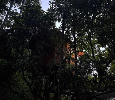 Ambagollapathana House | Ella Jungle Inn Homestay And Tree House