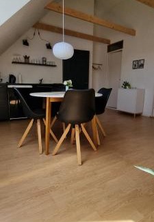 Odense SV Apartment | Elleholm