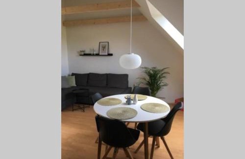Odense SV Apartment | Elleholm