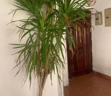 Nasr City Apartment | elsefarat hotel