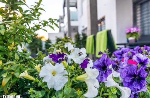 Los Altos Apartment | ELuxuria Sunny Villa