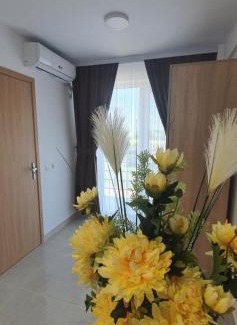 Vama Veche Hotel | Ema