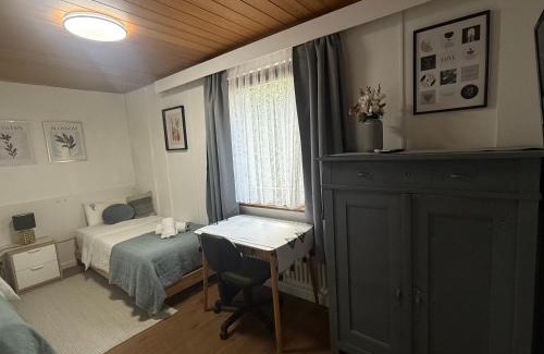 Waldshut-Tiengen Apartment | Emi's Guesthouse A2