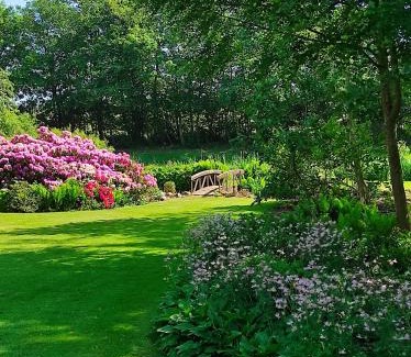 Lintrup Bed & Breakfast | Emily's Garden