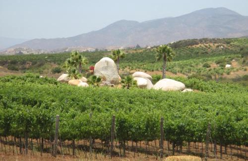 San Antonio de las Minas Hotel | En'kanto Valle de Guadalupe