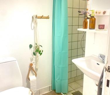 Randers Apartment | En lille lejlighed i midtbyen - hyggelig, centralt og tæt på alt!