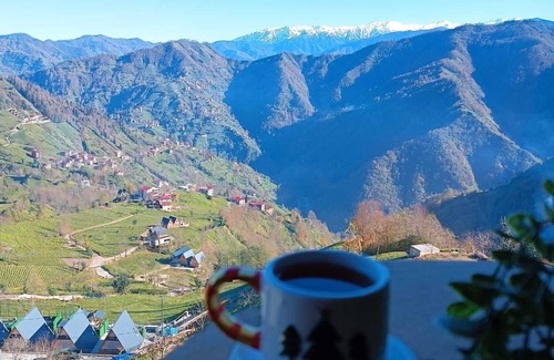 Cayeli Ski Chalet | Enasra Bungalow