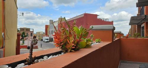 San Miguel de Allende Apartment | Encantador departamento a 10 minutos del centro histórico
