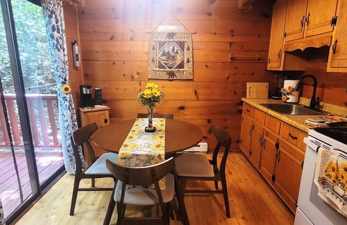 Sautee Nacoochee Cabin | Enchanted Forest Hideaway w/Hot Tub (Dog Friendly)
