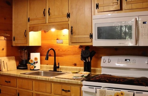 Sautee Nacoochee Cabin | Enchanted Forest Hideaway w/Hot Tub (Dog Friendly)