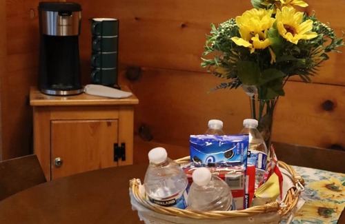Sautee Nacoochee Cabin | Enchanted Forest Hideaway w/Hot Tub (Dog Friendly)