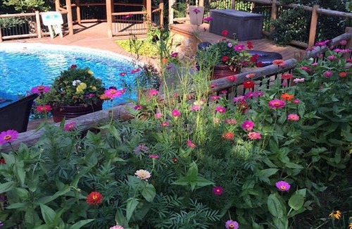 Eastview Cabin | Enchanted Forest Luxury Cabin