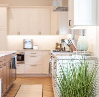 Encinitas House | Enchanting Encinitas Oceanview Casita