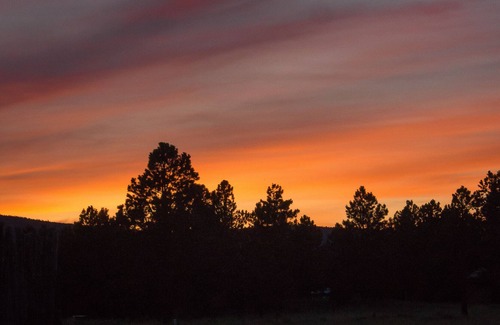 Angel Fire House | Enjoy a Get-A-Way @This cozy cabin in Black Lake NM!
