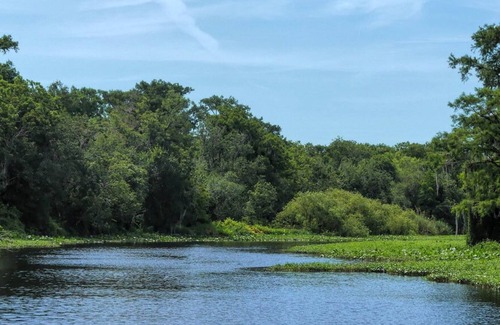 Seville House | Enjoy A Peaceful Getaway! Close to Daytona Beach's Boar! Pet-Friendly!