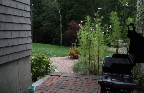 Mount Desert House | Enjoy a Secluded Location on Mount Desert Close to Acadia National Park