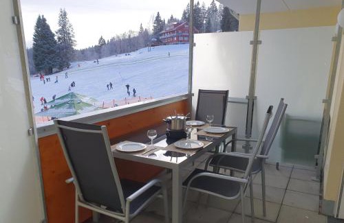 Feldberg Apartment | Enjoy Ferienwohnung Feldberg Grafenmatt
