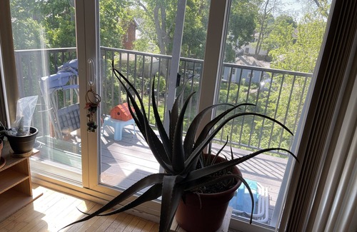 Salem Apartment | Enjoy New England. Historical places and water activities