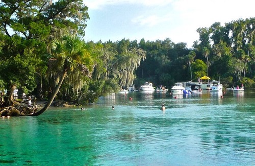 Seville House | Enjoy Some Fun Local Pastimes! A Couple of Miles from The Marine Science Center!
