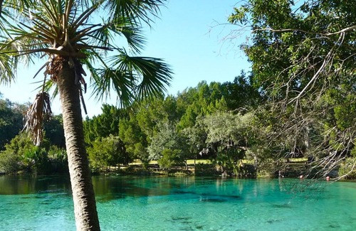 Seville House | Enjoy Some Fun Local Pastimes! A Couple of Miles from The Marine Science Center!