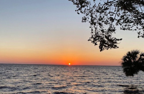 Seville House | Enjoy Some Fun Local Pastimes! A Couple of Miles from The Marine Science Center!
