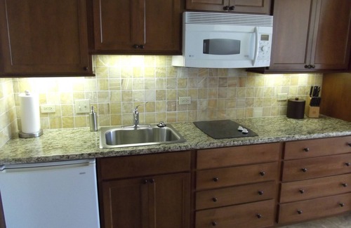 Waikiki Condo | Enjoy the Ocean View, Relaxing Beaches and Vibrant Night Life.