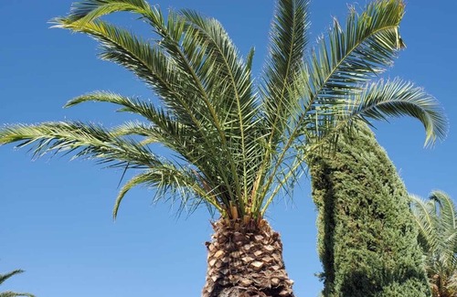 Tucson Estates House | Enjoy the simple comforts of 55-plus living in the sunny Southwest!