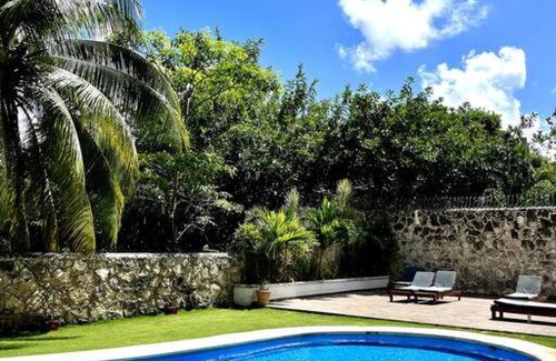 Downtown Cancun Apartment | Entire apartment next to hotel zone / 1BR