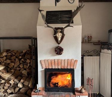 Saschiz House | Entire House @Saschiz 130