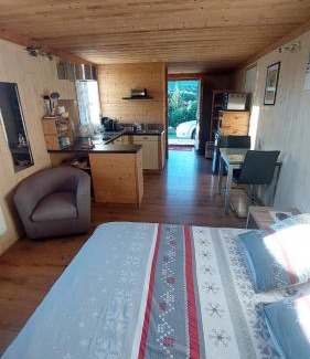 Bernex Apartment | Entre Lac Et Montagnes