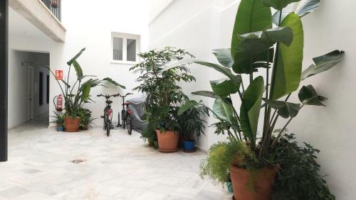 Old Town Apartment | ENTREARCOS