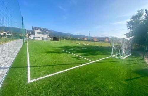 Vladeni Villa | EPIC Vila Brașov, Cristian