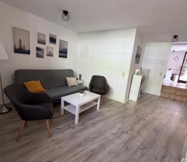 Joehstadt Apartment | Erzgebirgsglück Jöhstadt EG